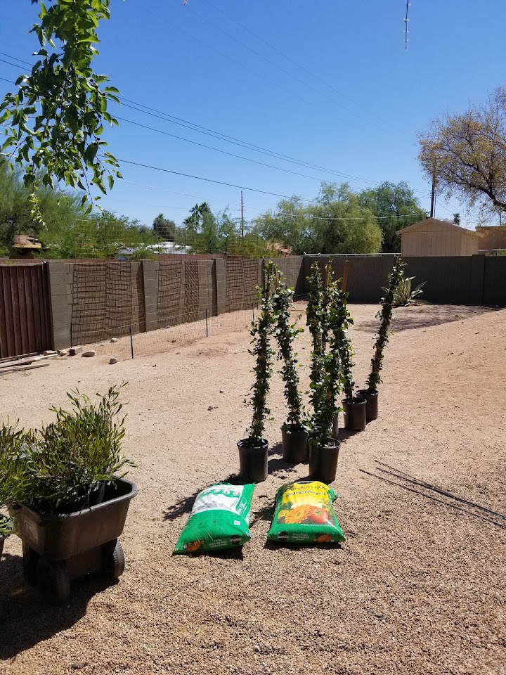 Harmony Landscaping LLC project